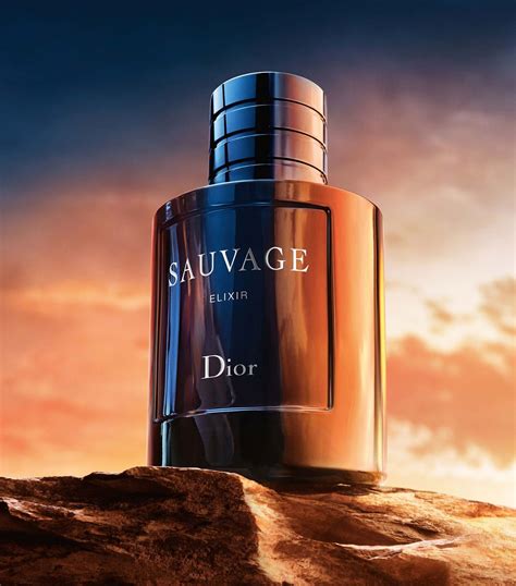 parfum homme dior sauvage elixir|dior sauvage elixir price.